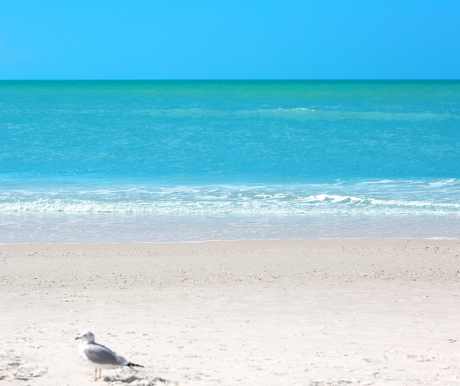 Exploring the Charm and Adventure of Naples Florida.